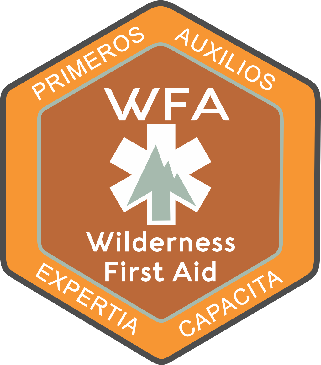 Wilderness First Aid Patch